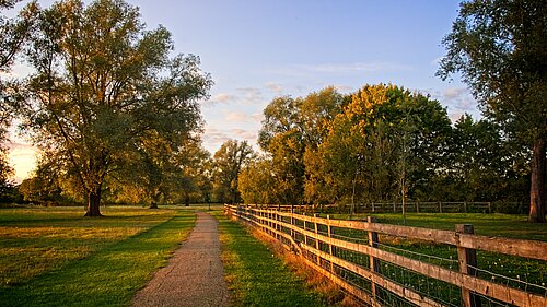 Ouzel Valley Park footpath